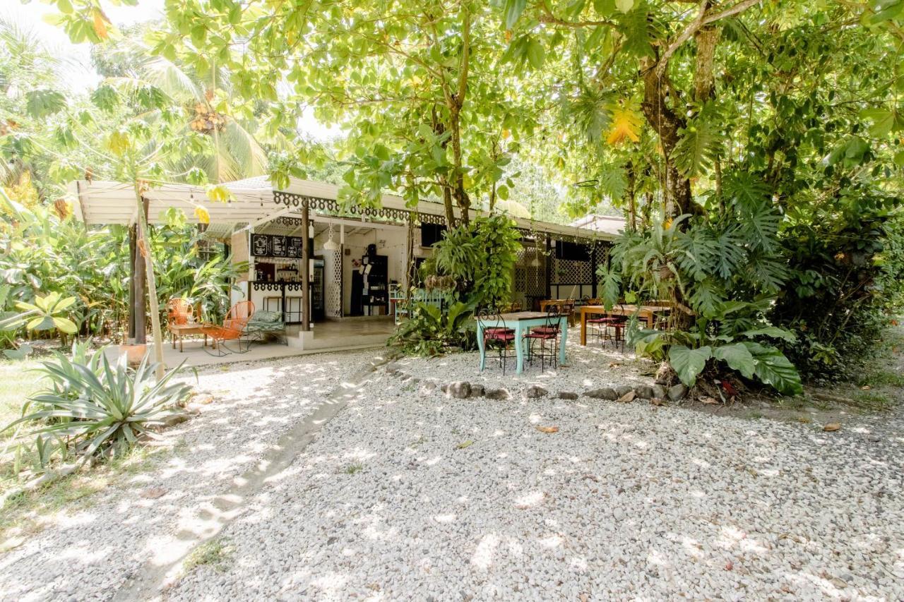 Bajo El Arbol B&B Playa Santa Teresa  Luaran gambar