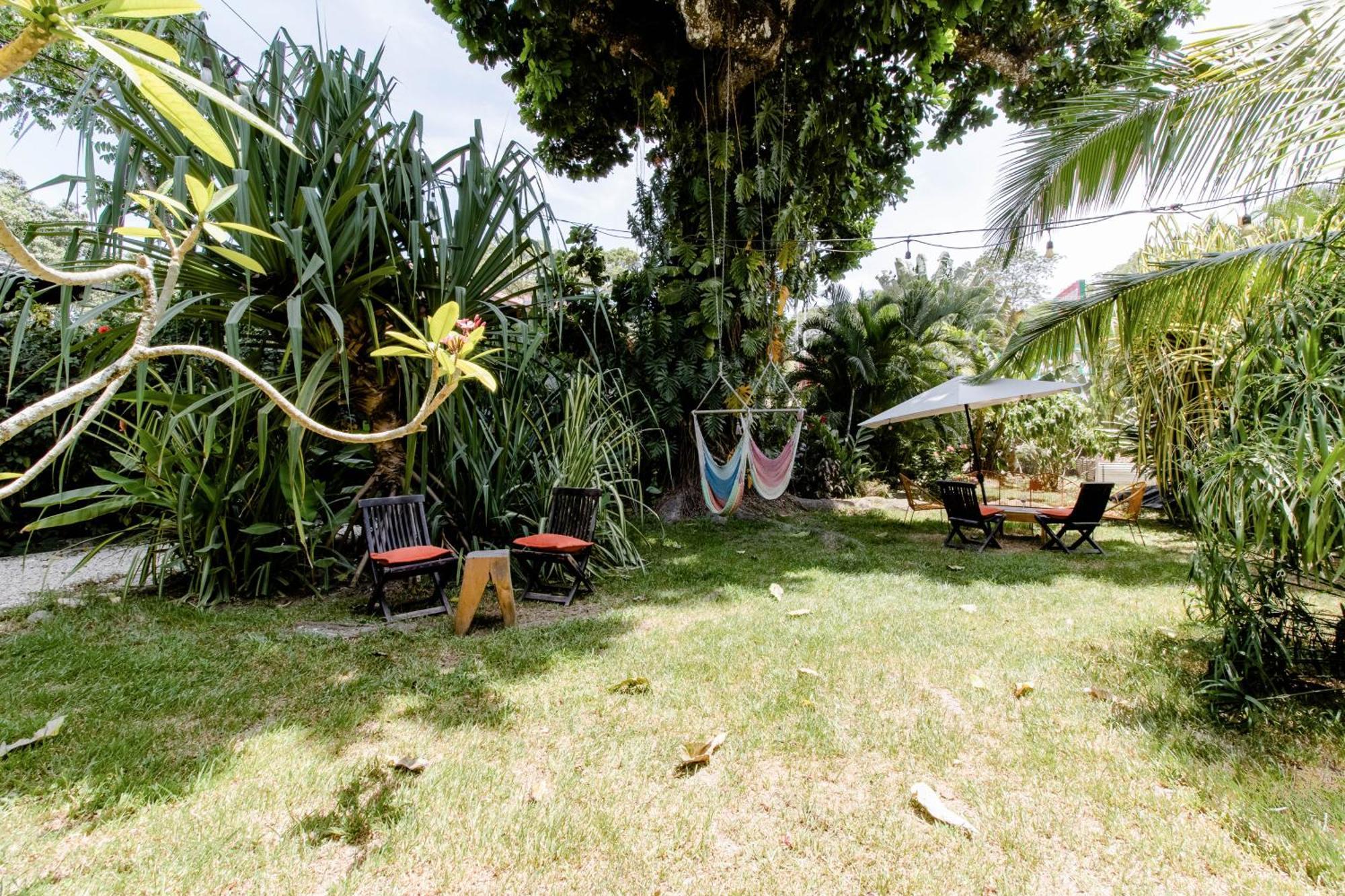 Bajo El Arbol B&B Playa Santa Teresa  Luaran gambar